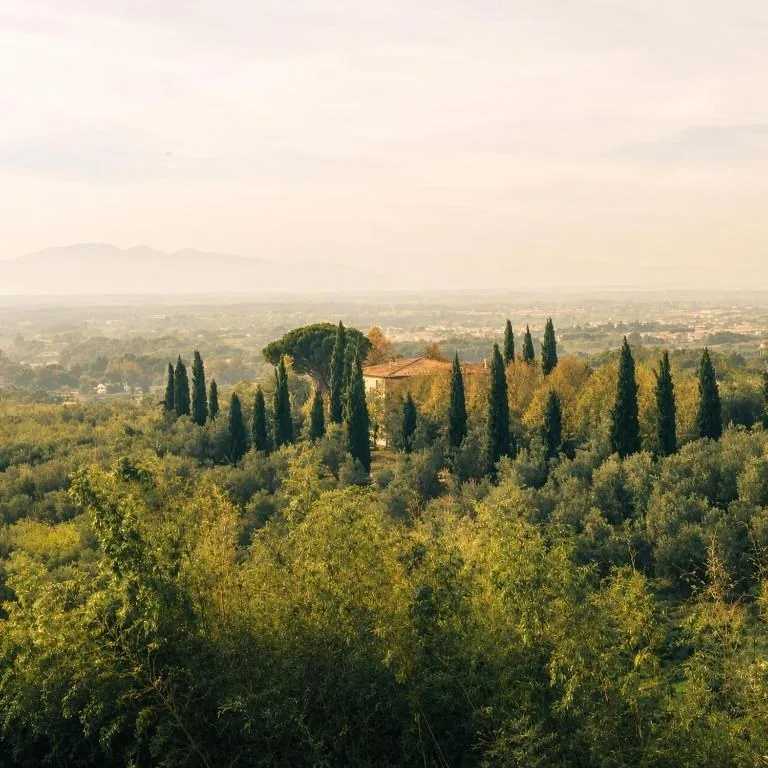 Agriturismo Cocò, 