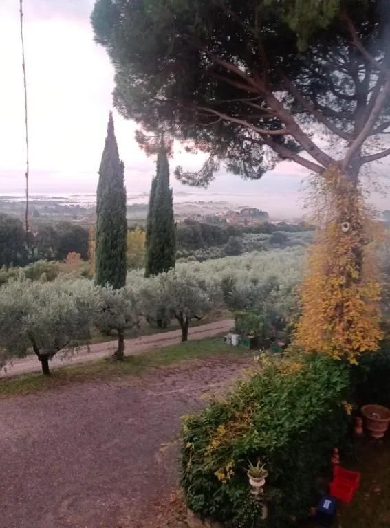 Agriturismo Cocò, 